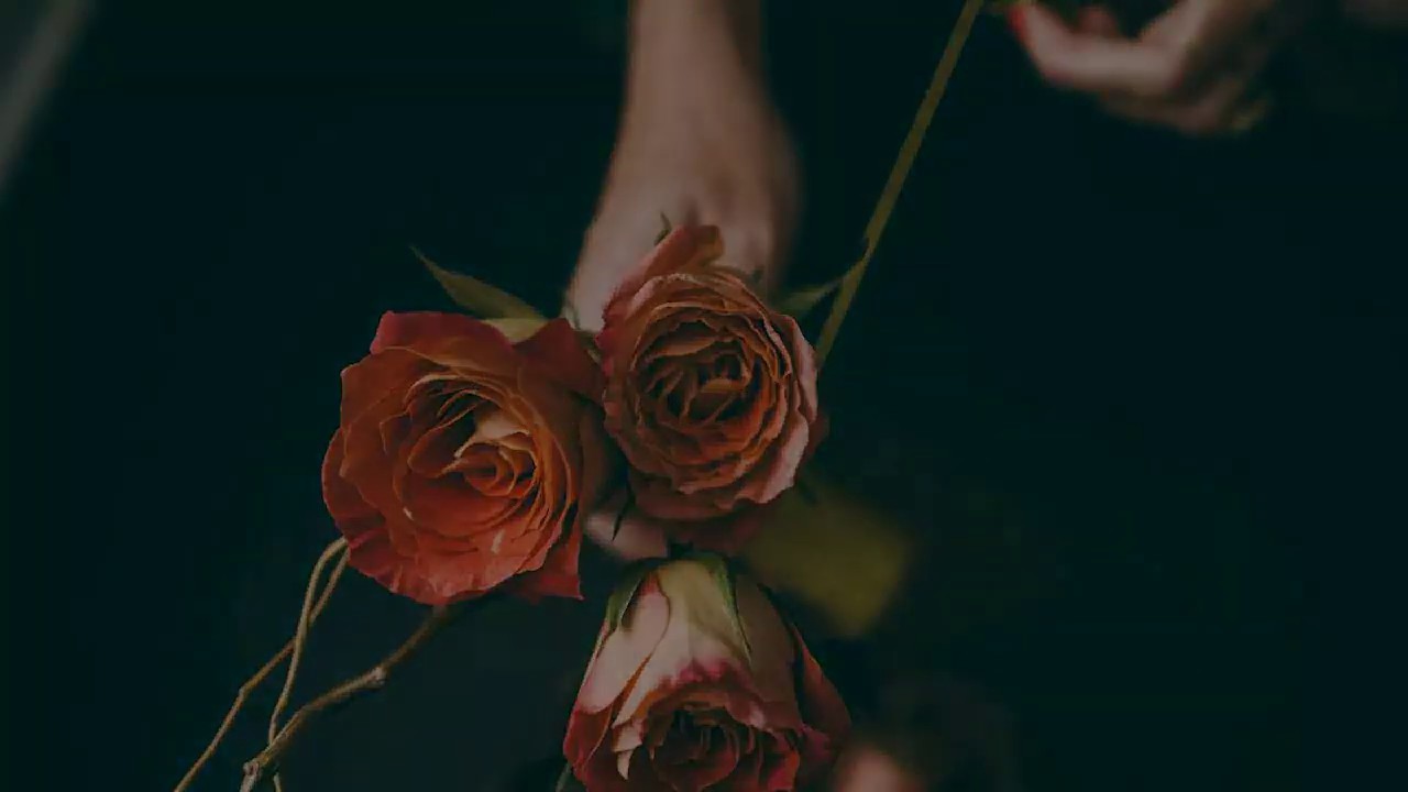 WILDES - Circles (Sub Español/Lyrics)