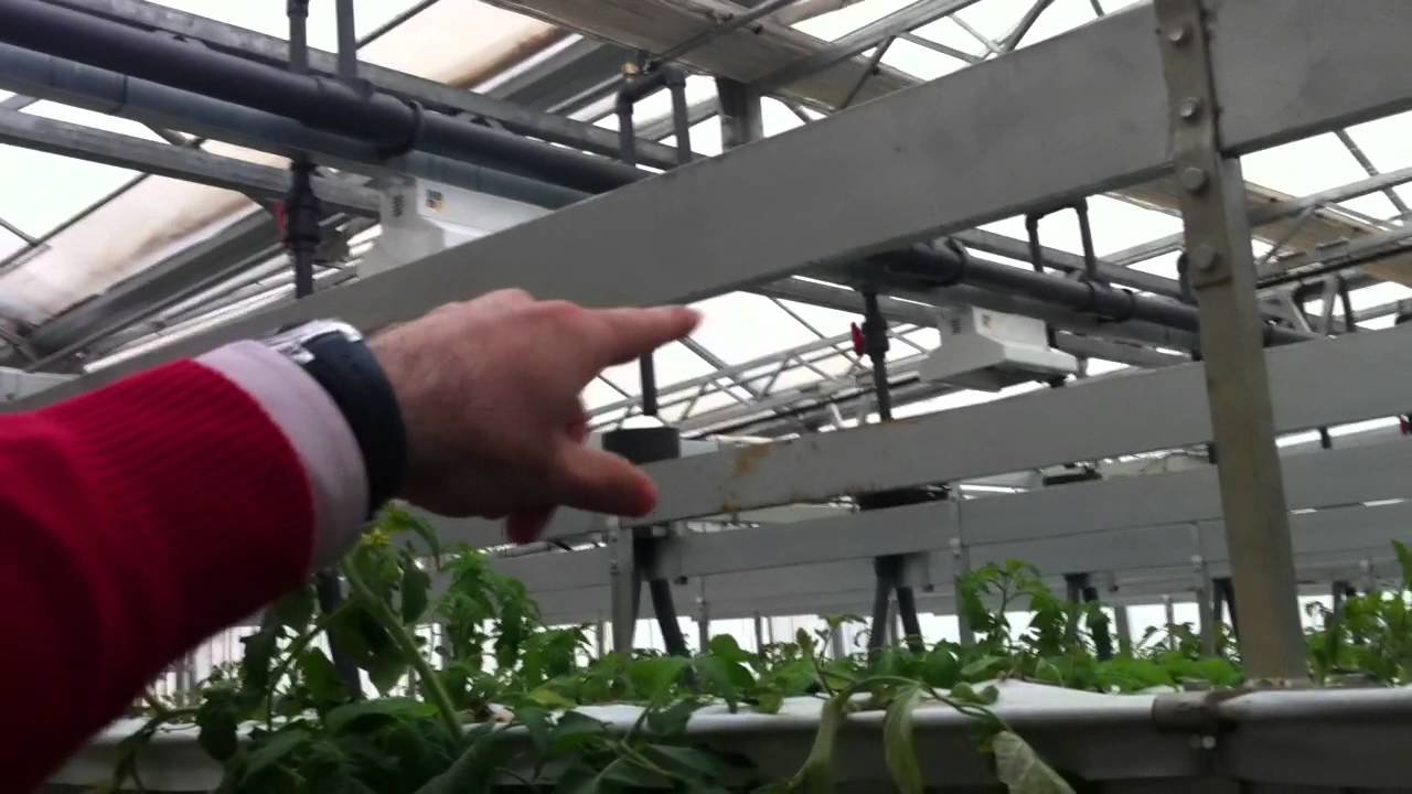 kimitec  ngs new technology of mobile multilayer system in tomato crop