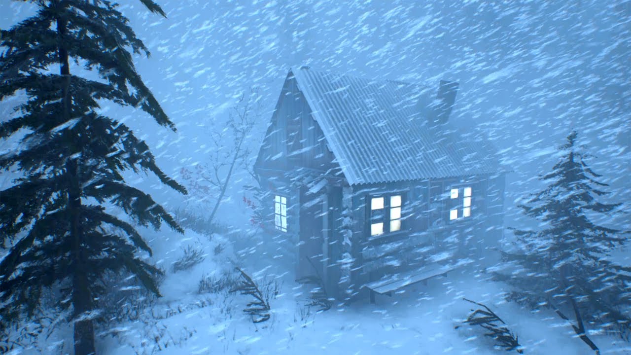 FERAL MAINE WINTER with TERRIFYING COLD and snow storm for sleeping. SEVERE WINTER STORM 2025 #asmr