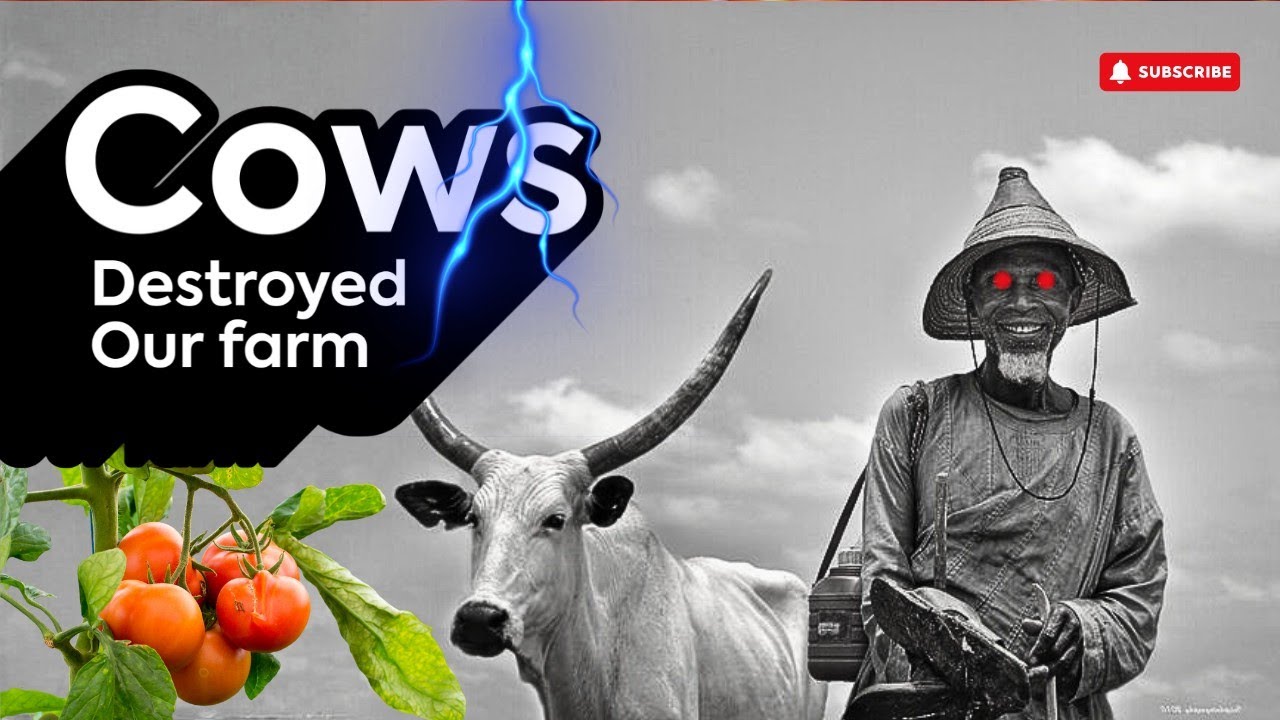 Cow Invasion Destroyed Our Tomato Farm 😞 | Tomato Farming Losses & Farm Protection Lesson