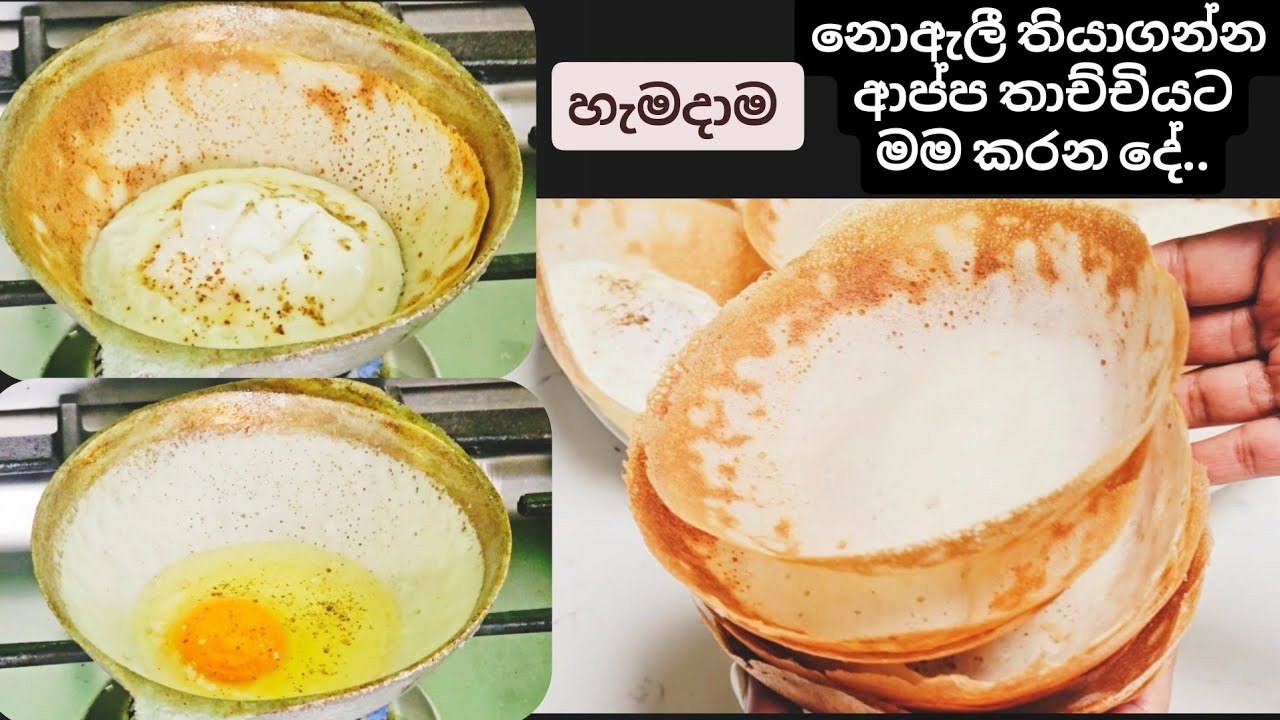 බබෙක් වගේ මම ආප්ප තාච්චිය පරිස්සන් කරගන්න විදිහ..