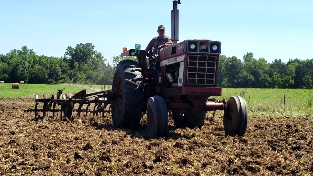 Making A Dove Field