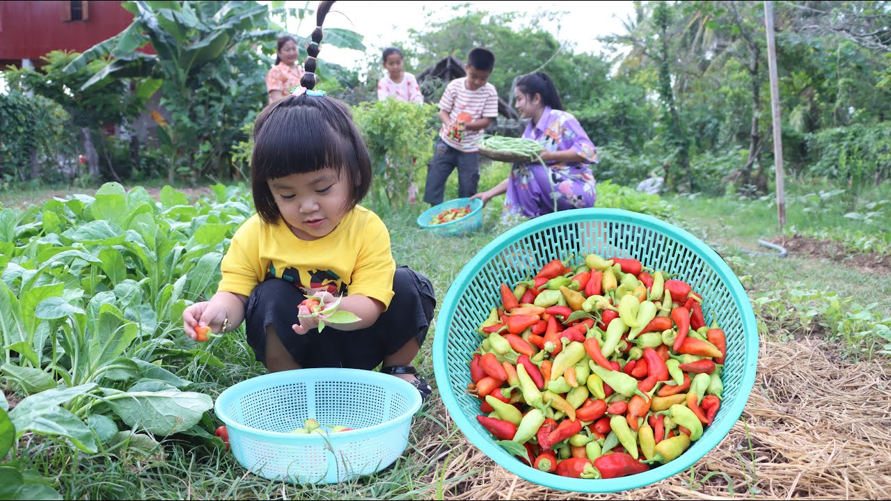 Cute girl Siv chhee, she can help us to collect vegetable for cooking - Family food cooking