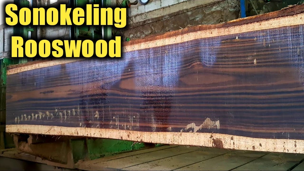 Kayu Sonokeling Seratnya Bikin Melongo Orang-orang Sawmill