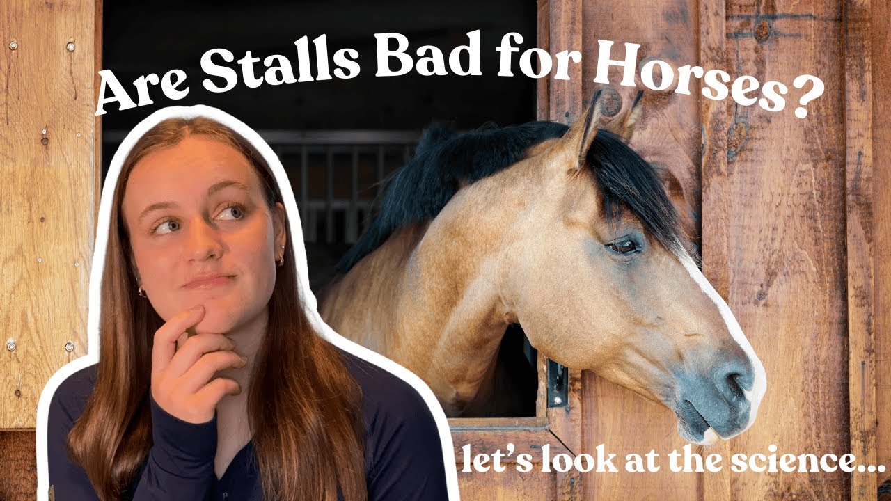 Are Stalls Bad for Horses? | The Negative Impacts of Stalling Horses