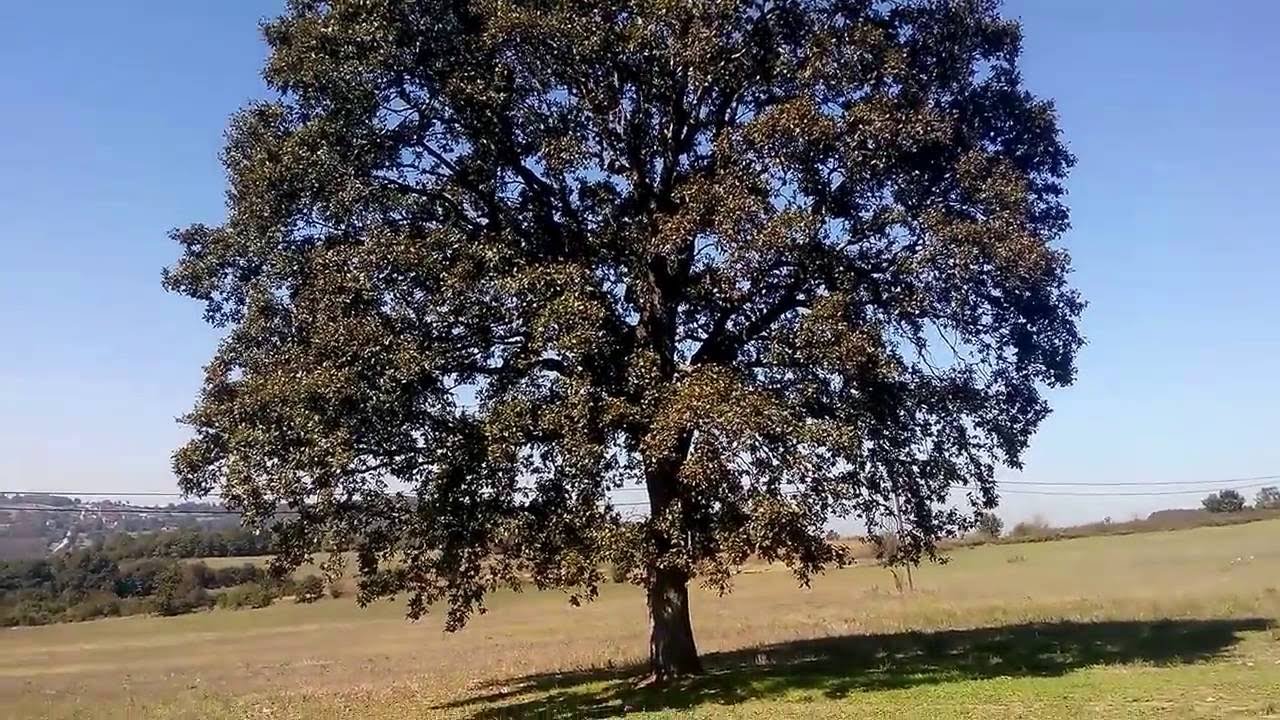 DALCA KÖYÜ KOCA KIRTILLAR MEVKİİ-01.10.2016