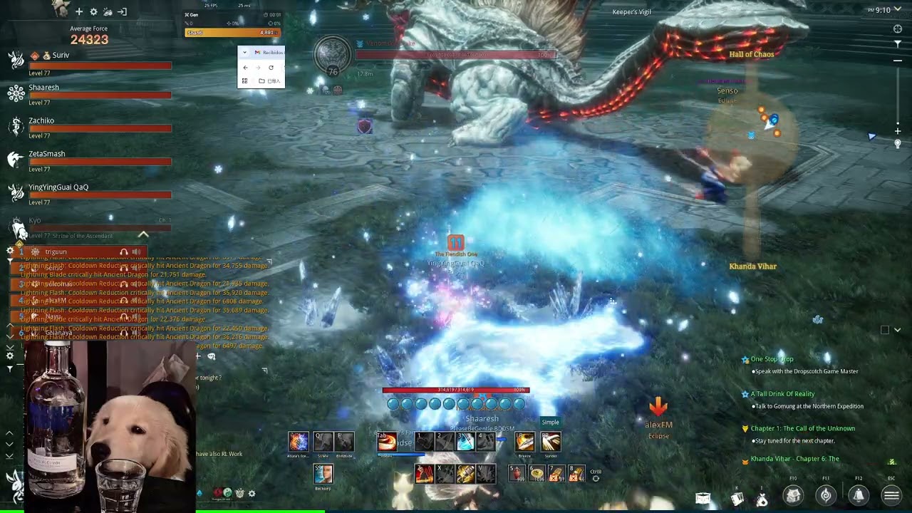 BnS neo EU lightning bd POV WB+BT 1-2boss