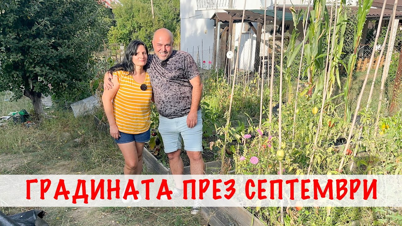 Разходка в градината през септември | Компост, оранжерия и неочаквани гости.