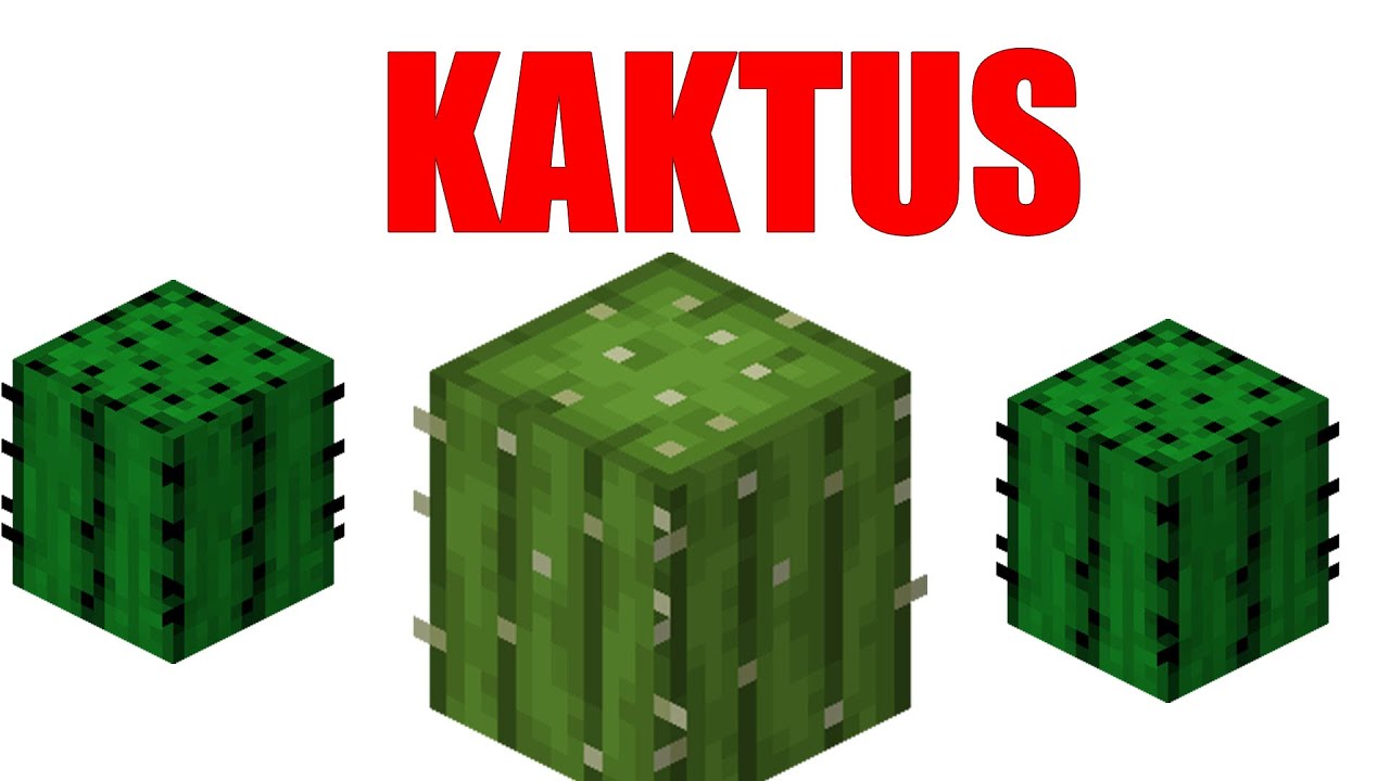 SZYBKIE FAKTY O KAKTUSIE W MINECRAFT