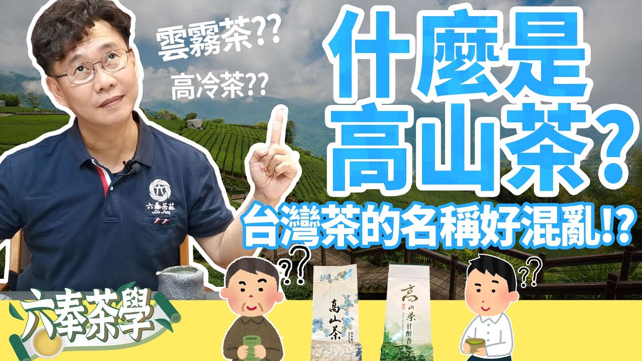 【六奉茶學】高山茶是什麼茶？雲霧茶？高冷茶？雪山茶？品茶師來分享市場上常見的茶款~