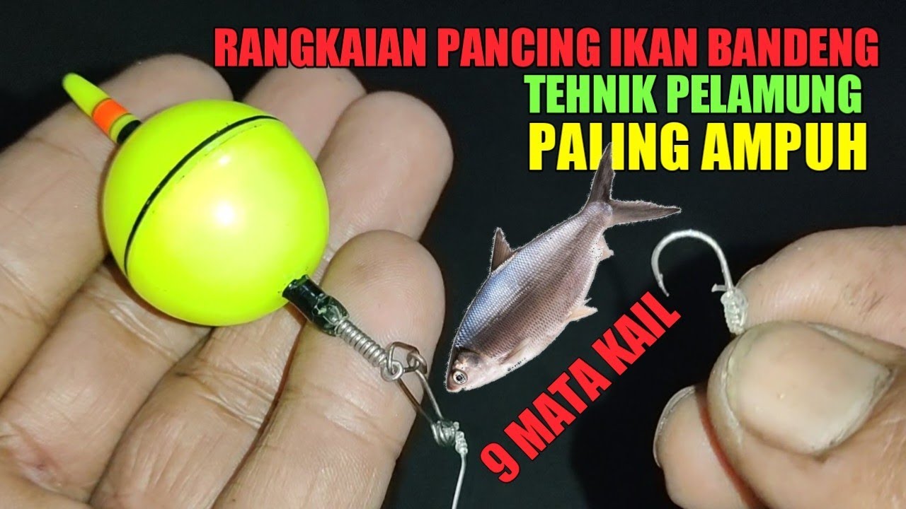 rangkaian pancing ikan bandeng paling ampuh @mertoksm mancing