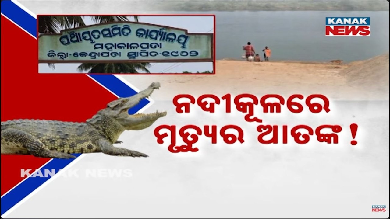 50 Lives Lost To Crocodiles: The Horrifying Ground Reality Of Kendrapara!