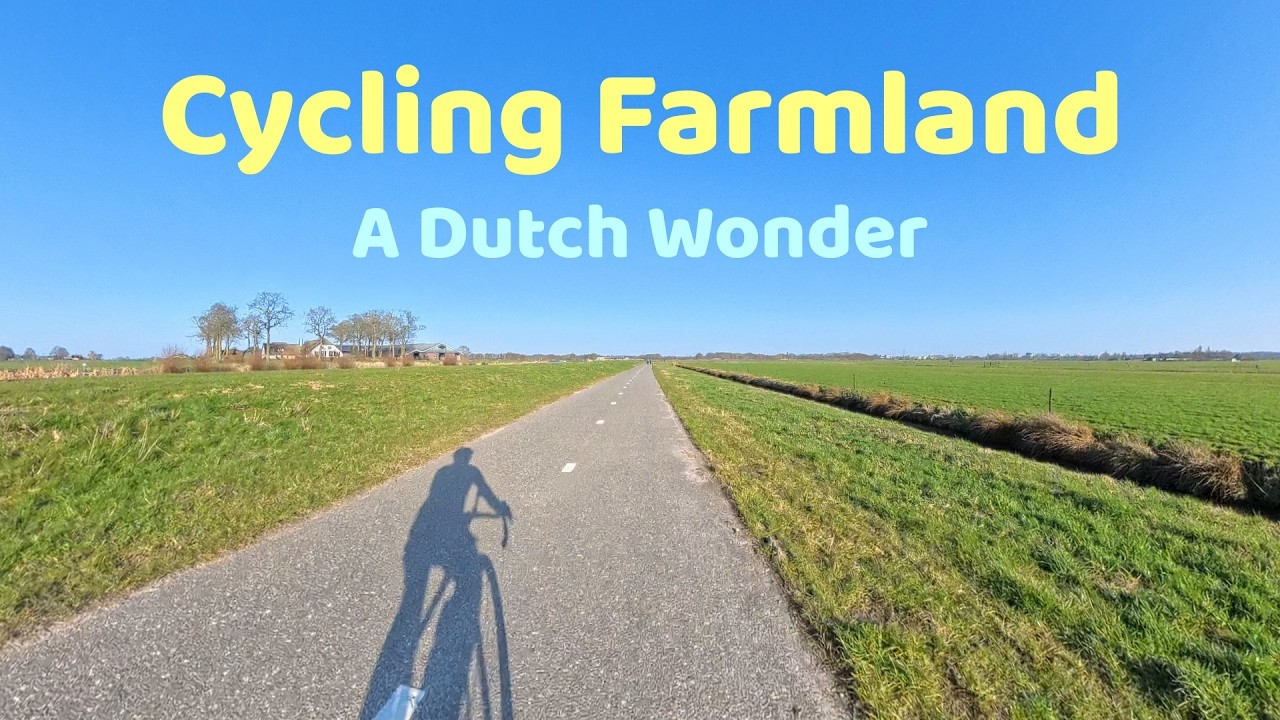 Dutch Countryside Bike Ride | Cycling Through Farmland in the Netherlands [4K]
