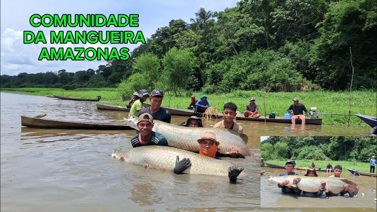 PESCARIA E MANEJO DO PIRARUCU 