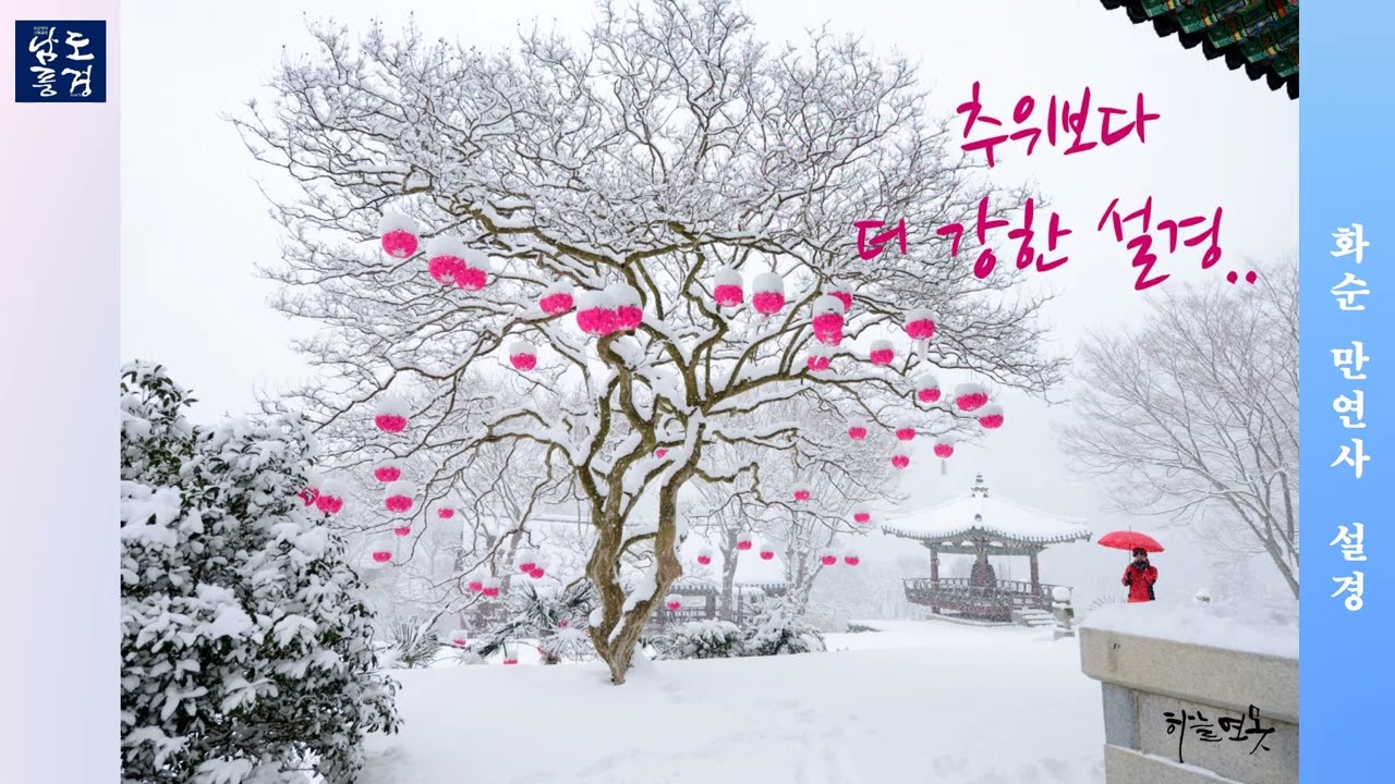 화순 만연사 설경 영상