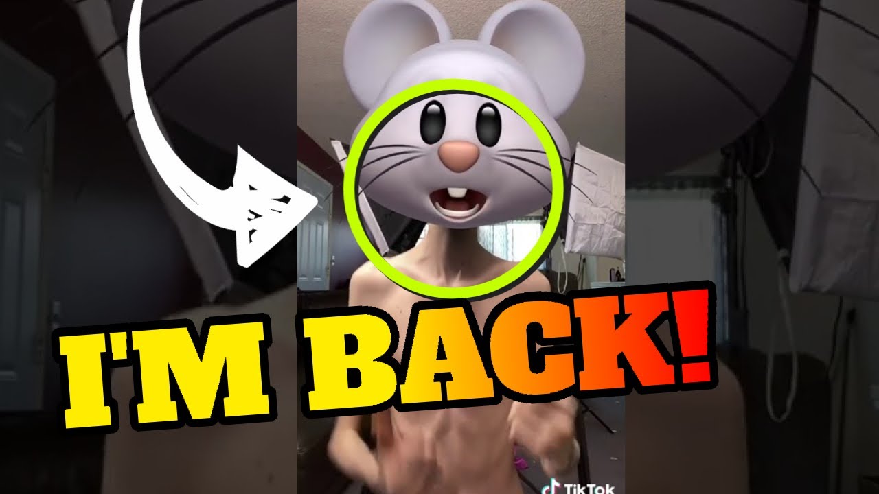 Daddy Long Neck - You&rsquo;re mad , I&rsquo;m back