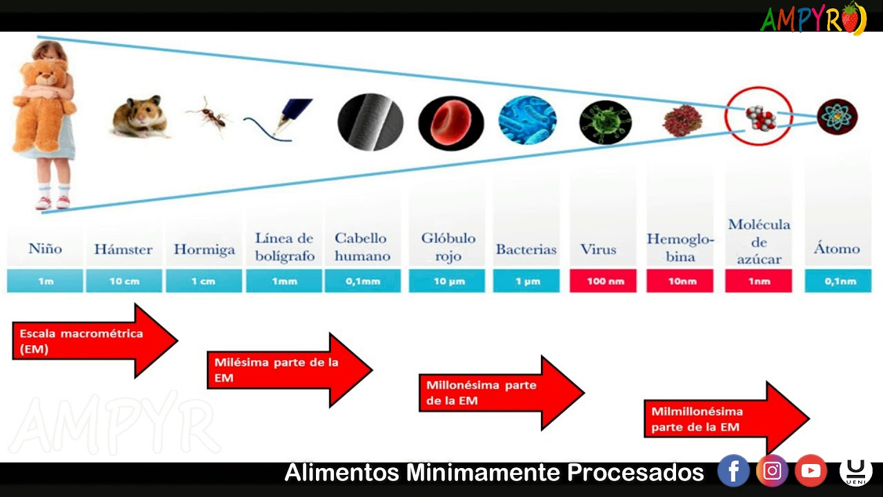 Nanotecnología aplicado en la industria  de alimentos.