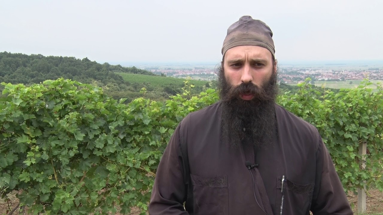 Blago manastira Bukovo