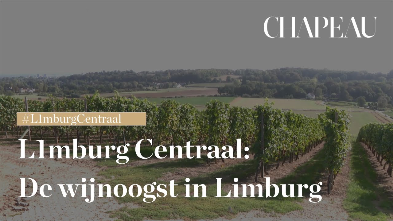 L1mburg Centraal: De wijnoogst in Limburg