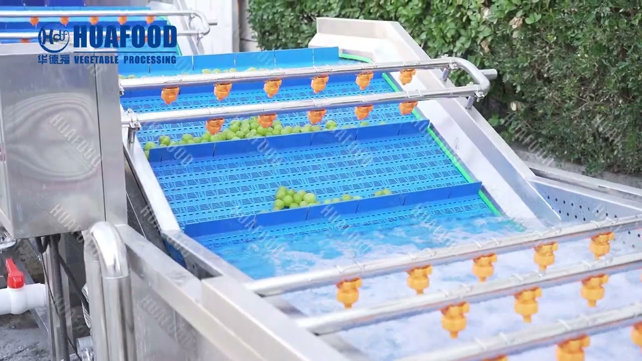 High Capacity Industrial Fruit Vegetable Cleaning Drying Equipment Grape Washing Washer Machine