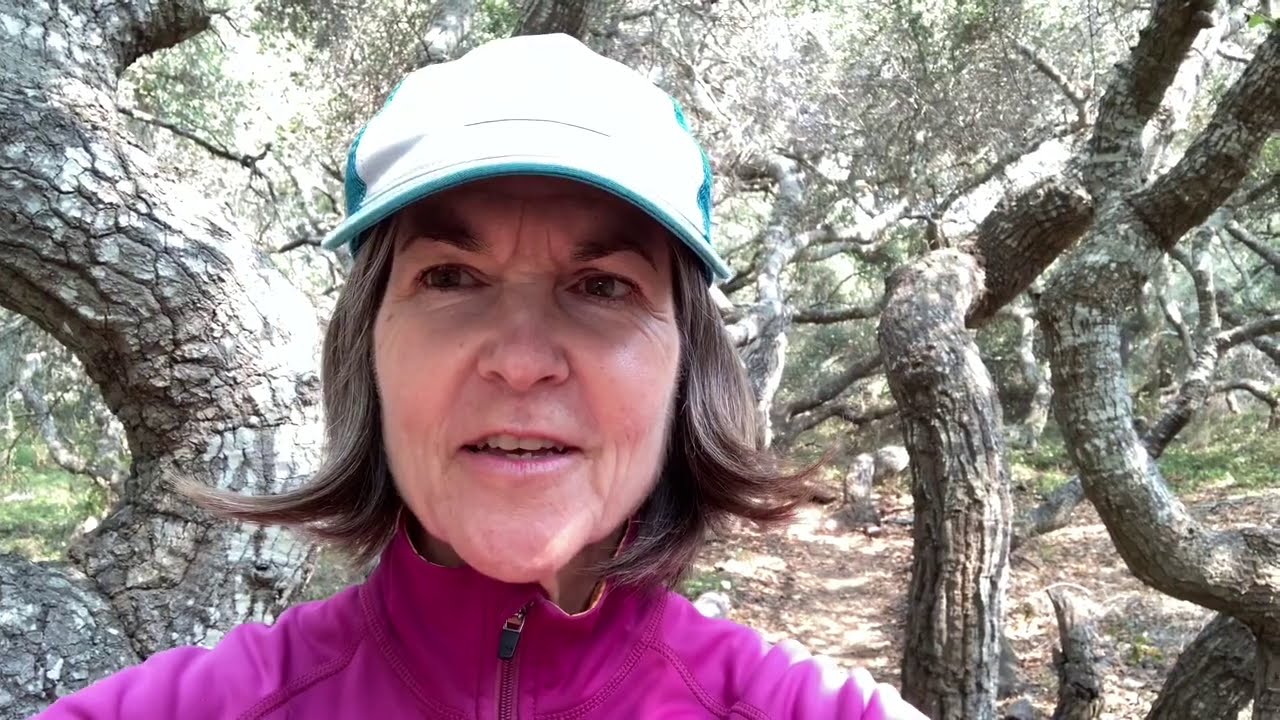 Native Plant Uses