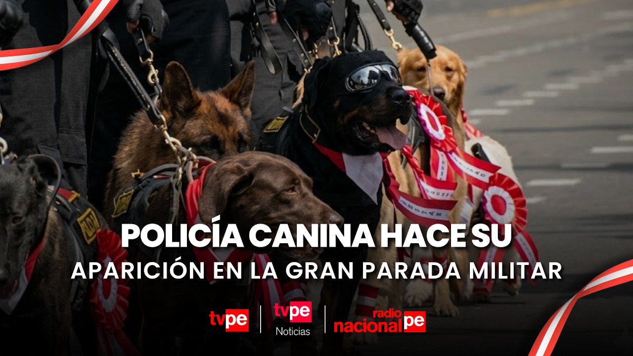 Unidad canina de la Polic&iacute;a Nacional se roba las miradas en la Gran Parada Militar 2026
