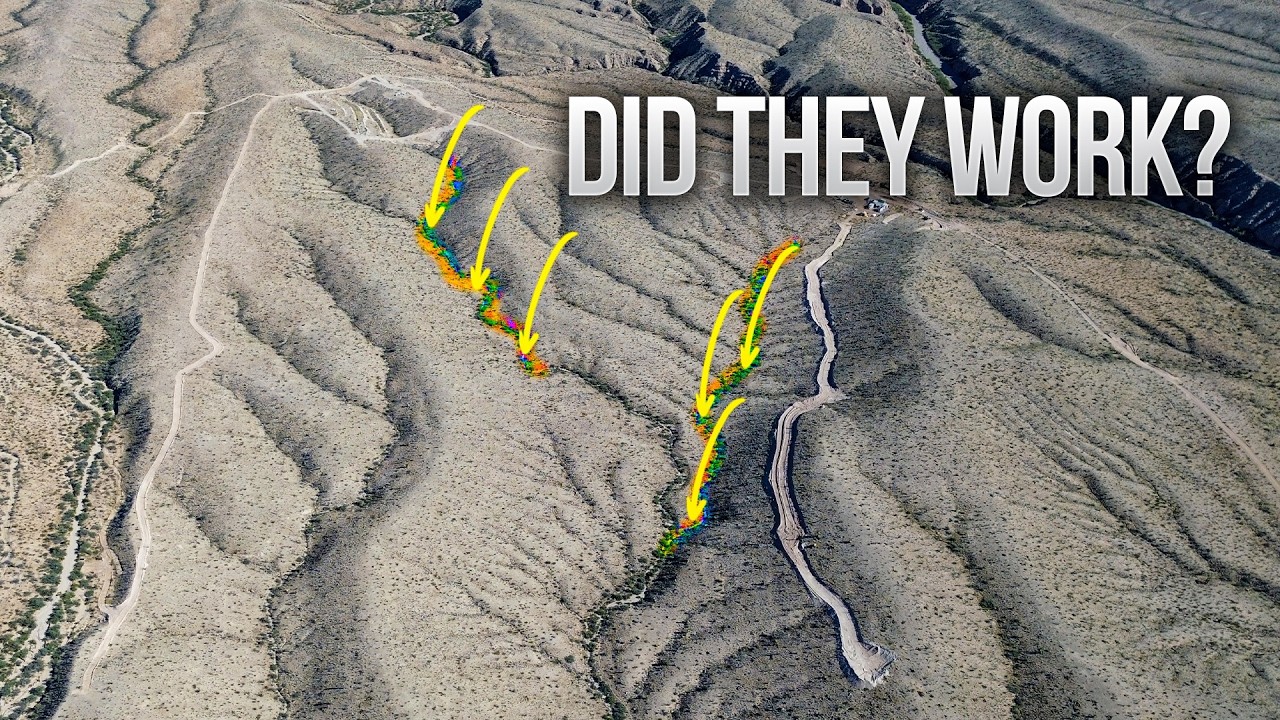 I Built Desert Beaver Dams With a Government Grant: 1 Year Later