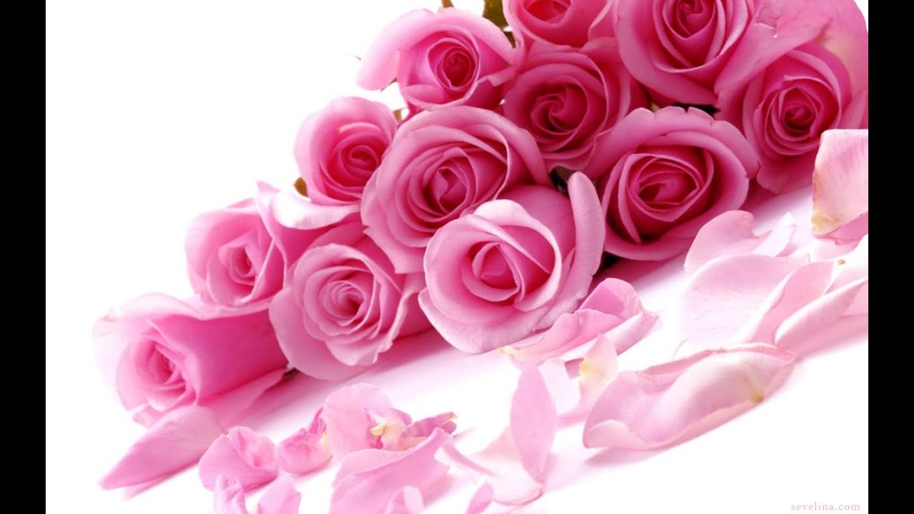 Gemini: June 2020 **Casting Everybody Down For This Love!** (Just Cause Reading)