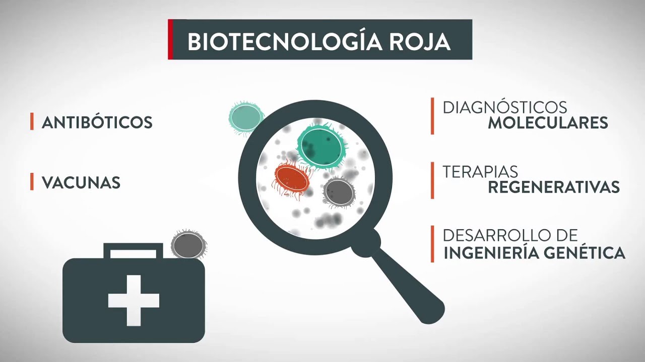 1.1 Aplicaciones de la Biotecnología