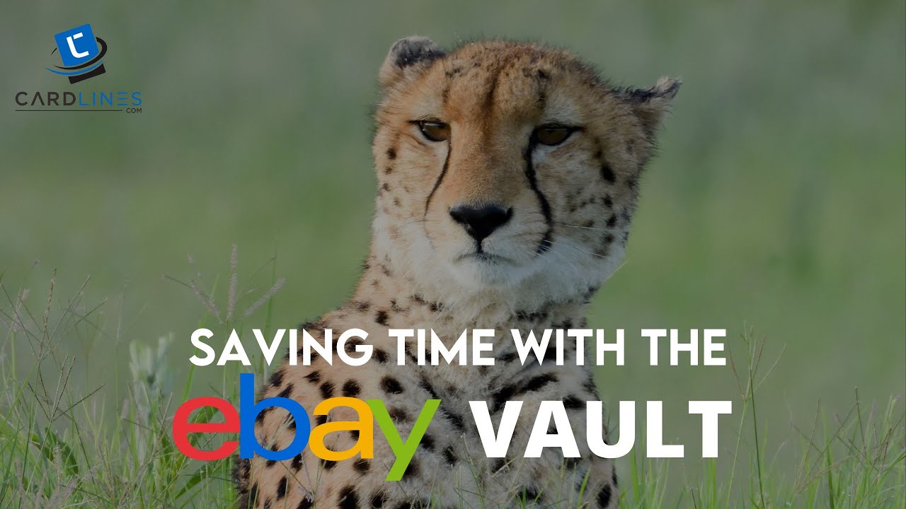 eBay Vault Review:  How to Save Time with the eBay vault ⏱