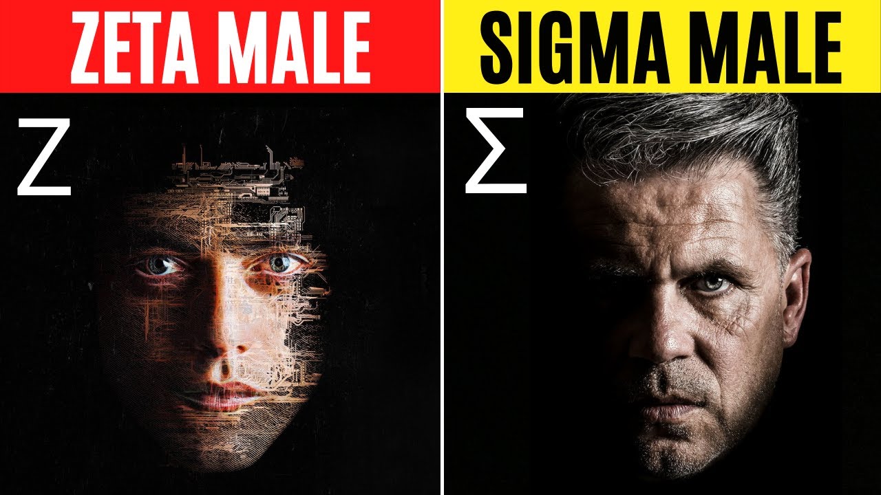 SIGMA MALE & ZETA MALE - 6 THINGS THEY HAVE IN COMMON