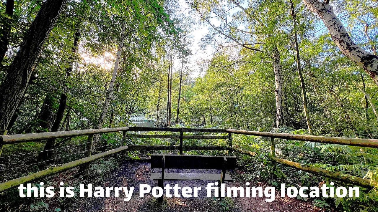 Journey to the black Park: Walking through Harry Potter Movie Locations