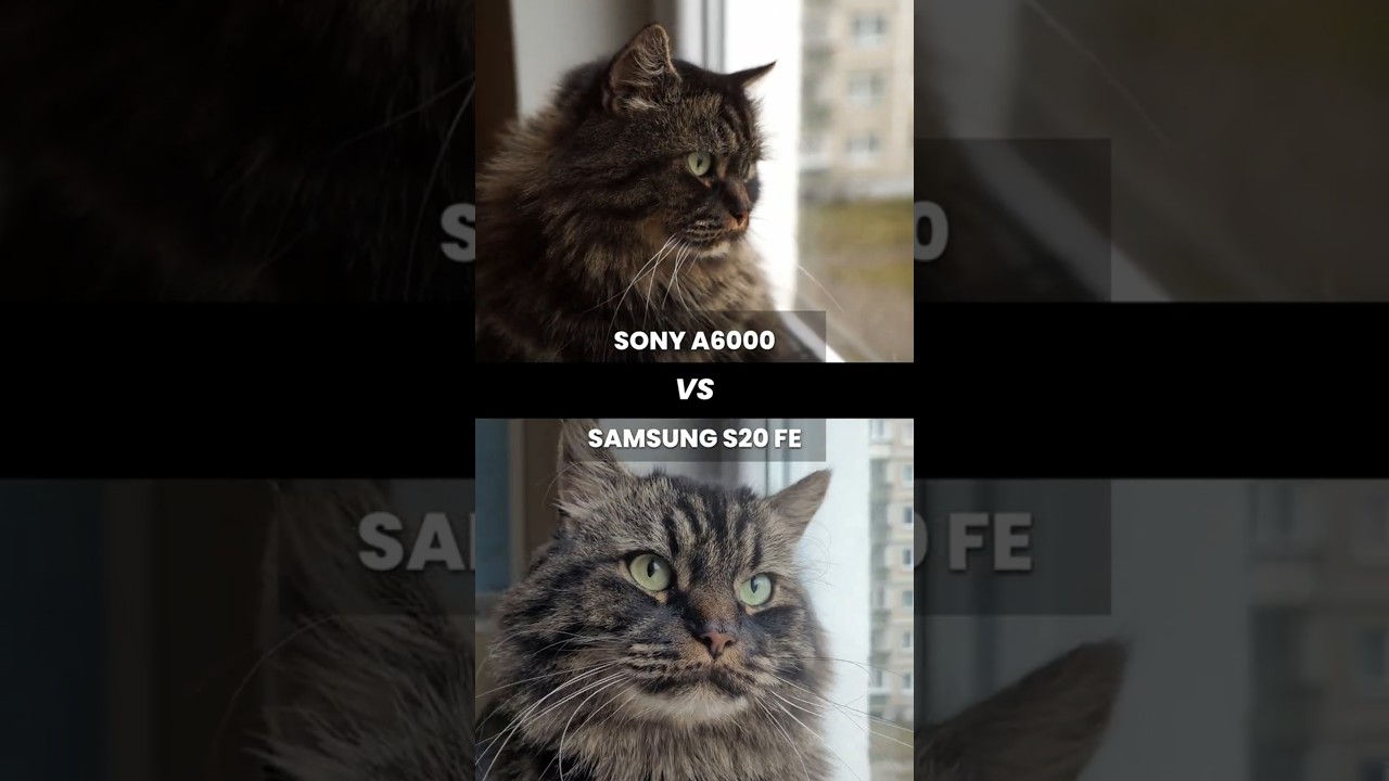 Can Sony A6000 beat Samsung Phone in 2025? 