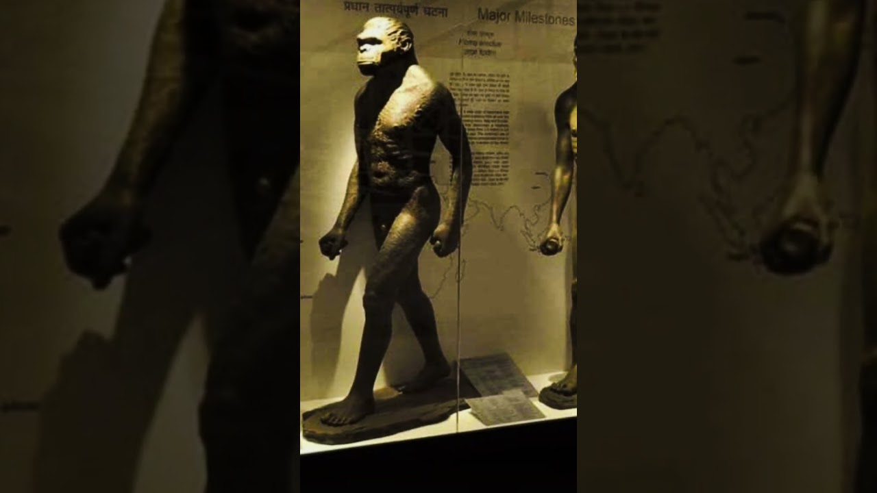 #archaeology  Breakthrough Reveals Interbreeding Between Two Species at the Root of Human Origins