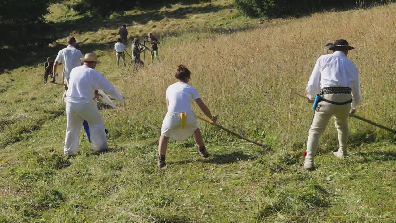Vzácne Kopanecké lúky pokosili ručne