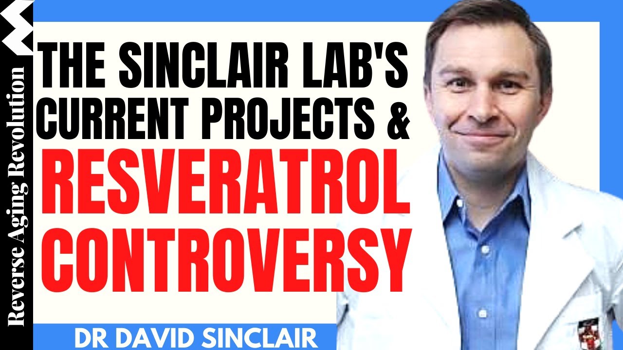 THE SINCLAIR LAB&rsquo;s Current Projects & RESVERATROL Controversy | Dr David Sinclair Interview Clips
