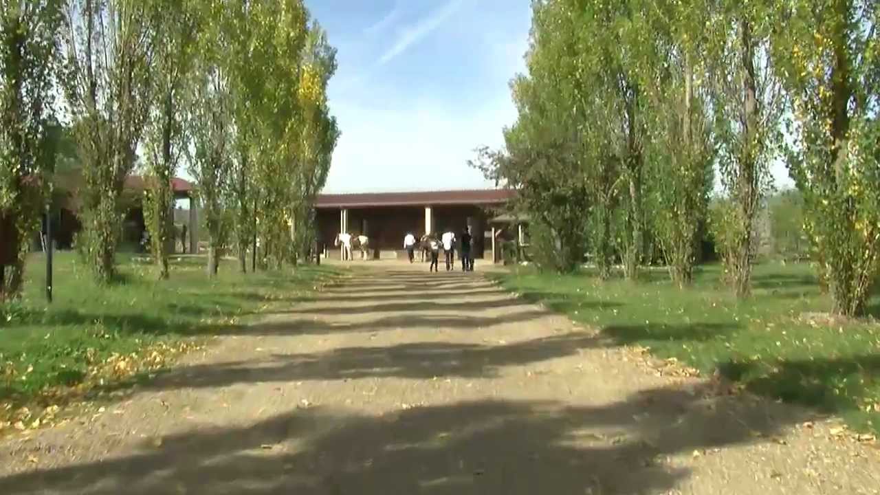 Agriturismo la Valle dei Cavalli