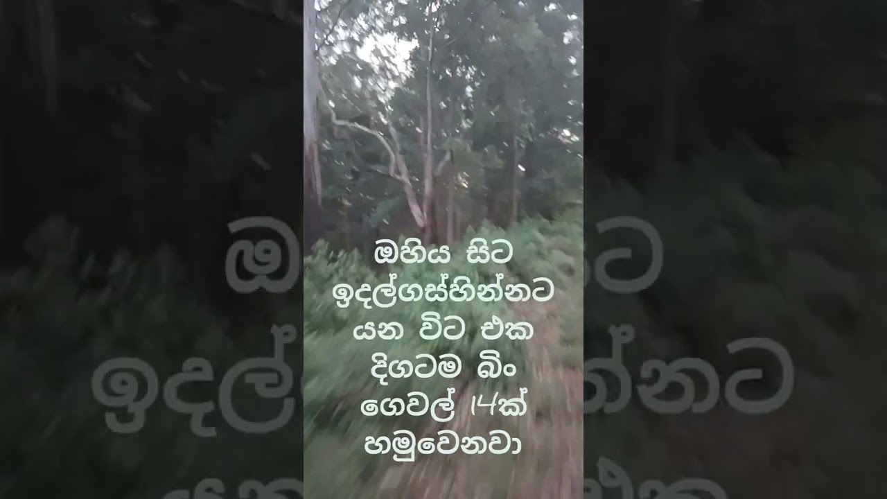 The last train  to Badulla before the disaster ඔහිය සිට හපුතලේ ට අවසන් වරට  ගිය දුම්රිය ගමන 