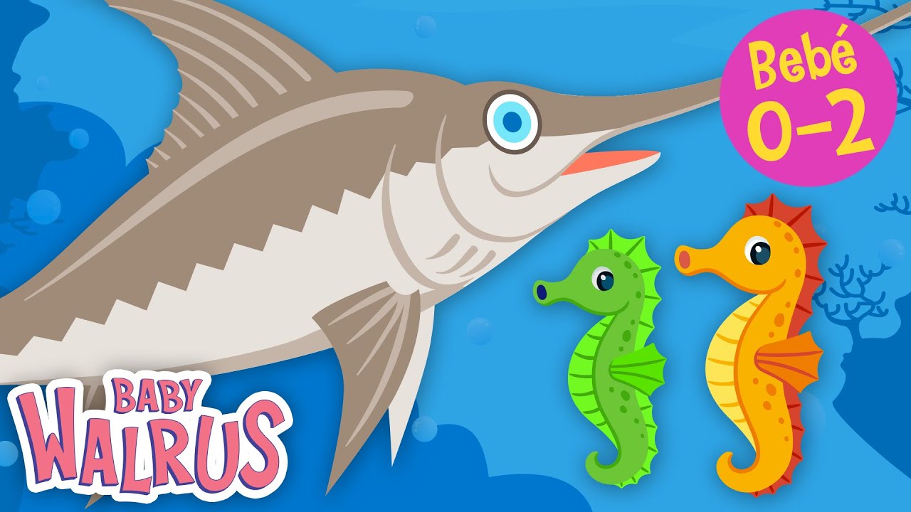 Veo y Aprendo #10 | Animales marinos #3 | Los números y los colores