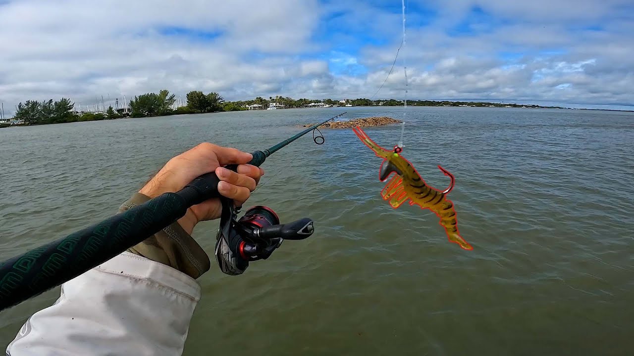 This Lure Gets Smoked - Epic Inshore Micro Skiff Multi-Species Fishing Florida