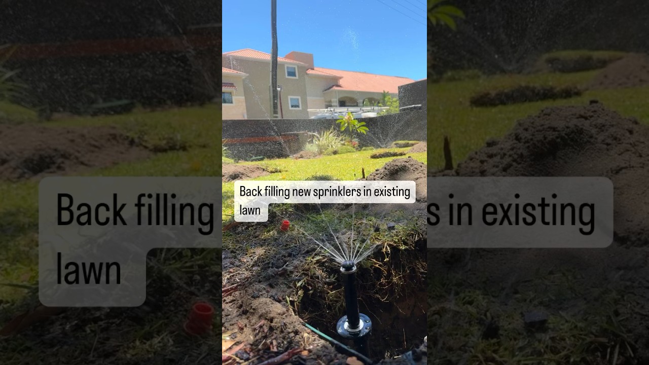 How to backfill Reticulation in Perth Western Australia #reticulation #irrigation