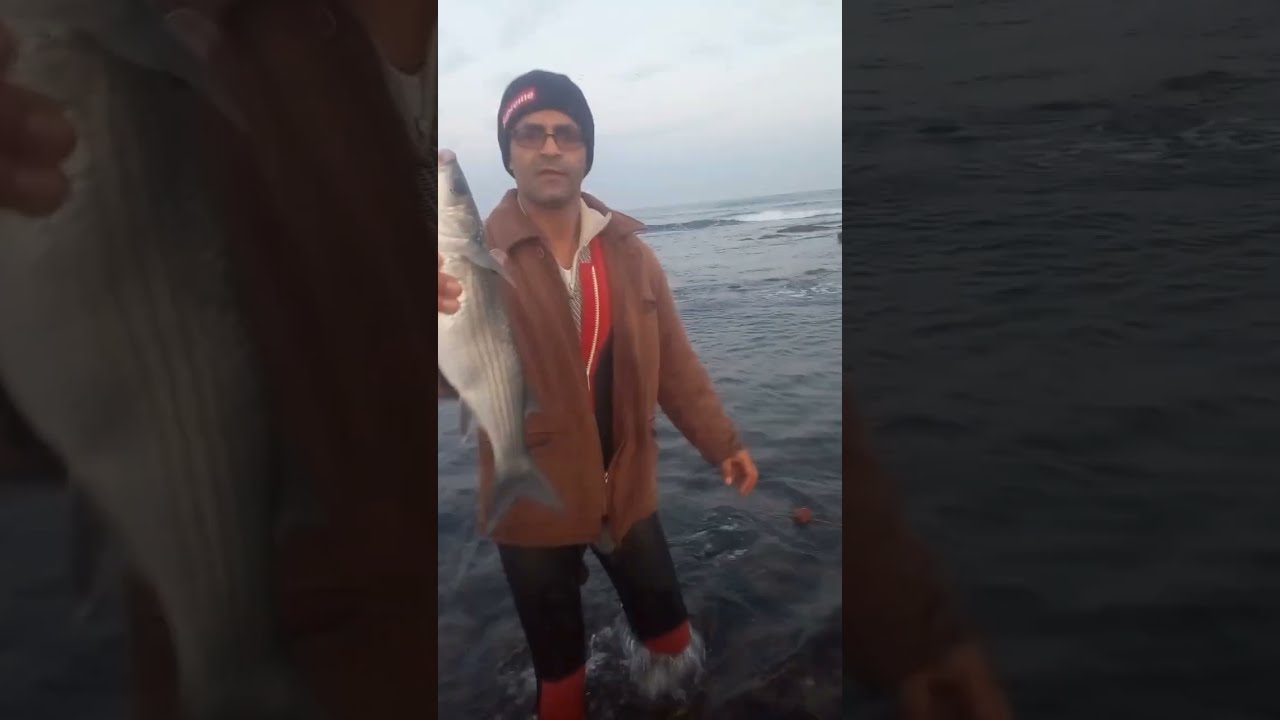 صيد في الكوشطة رفقة الصياد الصغير احمد🧑‍⚕️🧑‍⚕️🧑‍⚕️🇲🇦🇲🇦🇲🇦🇲🇦