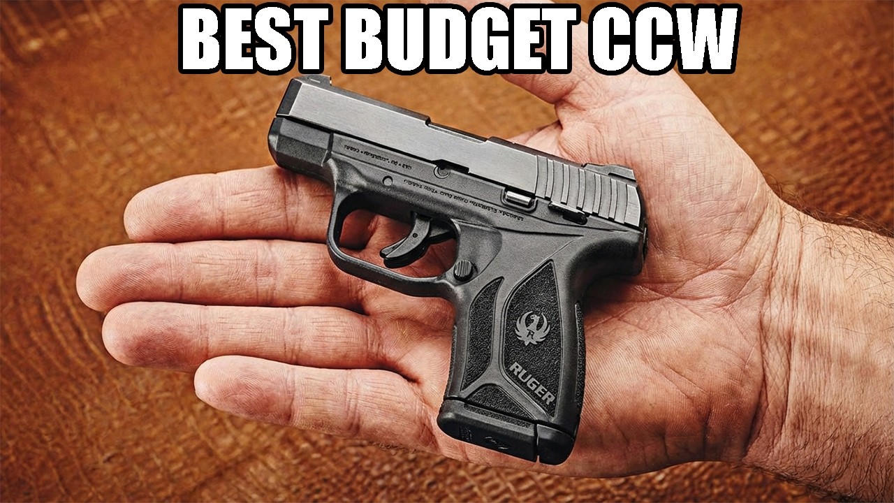 TOP 5 Budget Concealed Carry Guns Under $300 — Real-World Tested