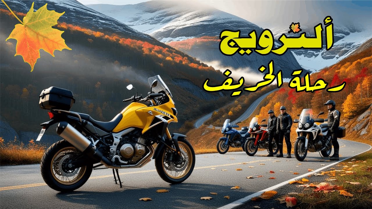 اخر رحلة بالدراجة في النرويج. اربعة اصدقاء