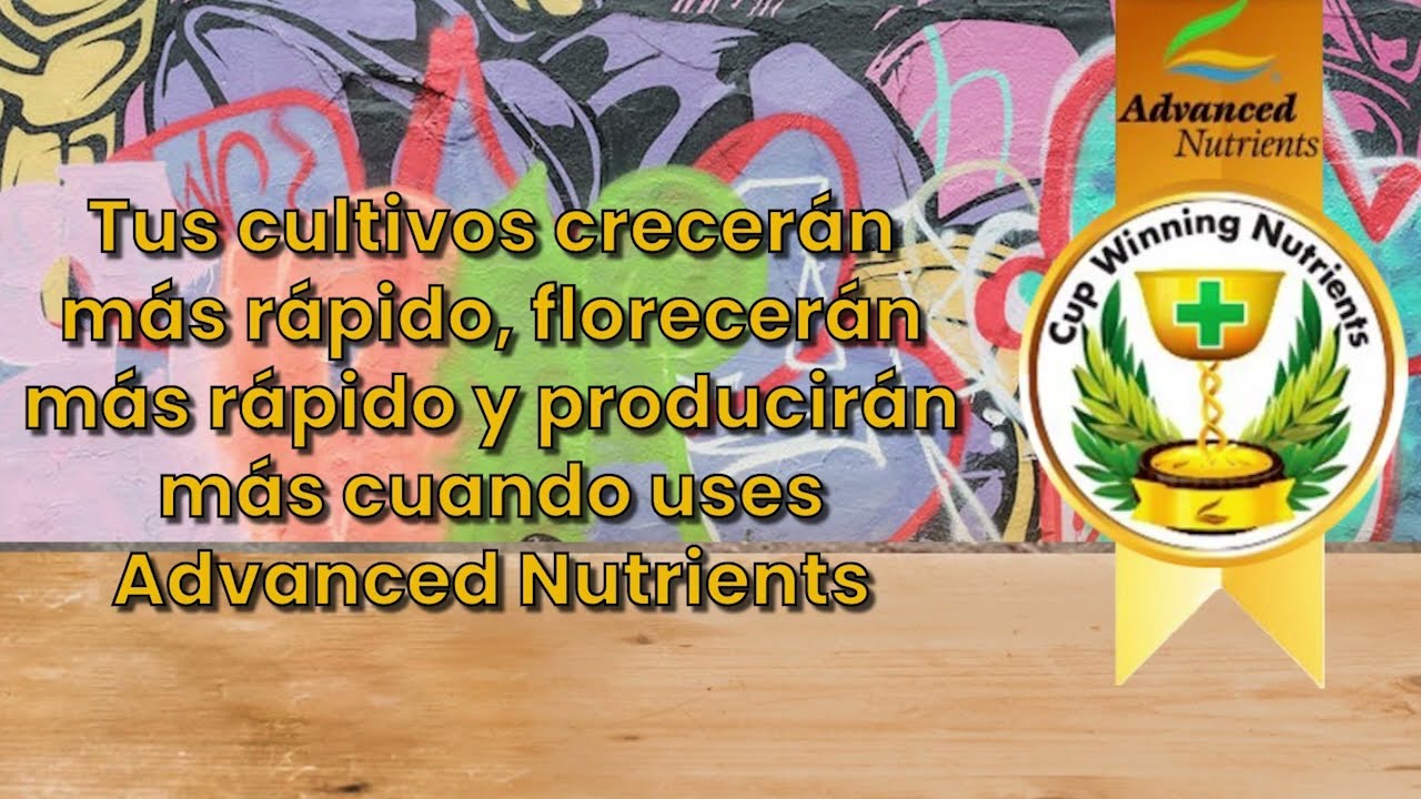&iexcl;Cultiva el Jard&iacute;n de tus Sue&ntilde;os con Sensi Grow y Sensi Bloom de Advanced Nutrients!