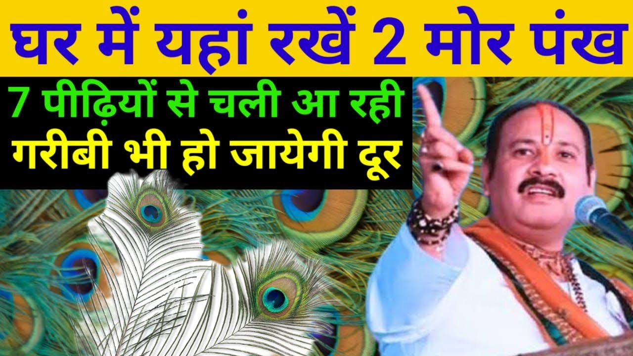 घर में इस स्थान पर रख दें 2 मोर पंख, 7 पीढ़ियों से चली आ रही गरीबी भी हो जायेगी दूर | Lord krishana