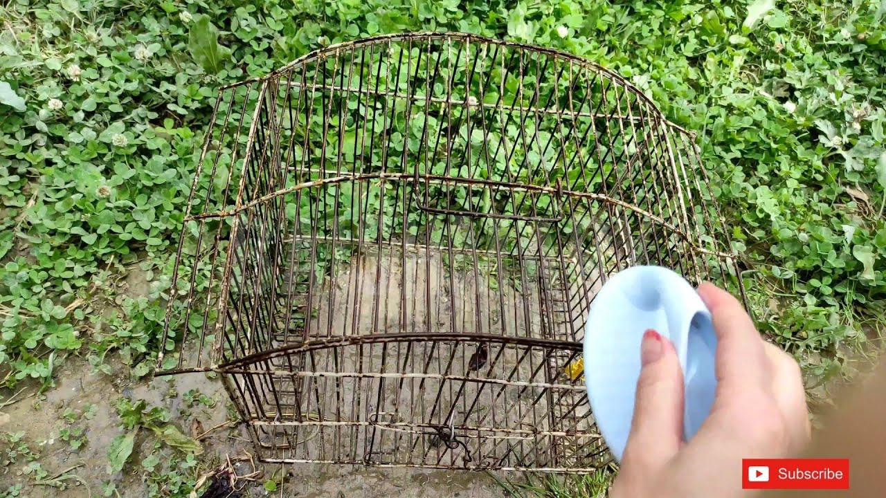 How to repaint old Rusty Cage | DIY bird Cage restoration | How to remodel old dusty bird cage