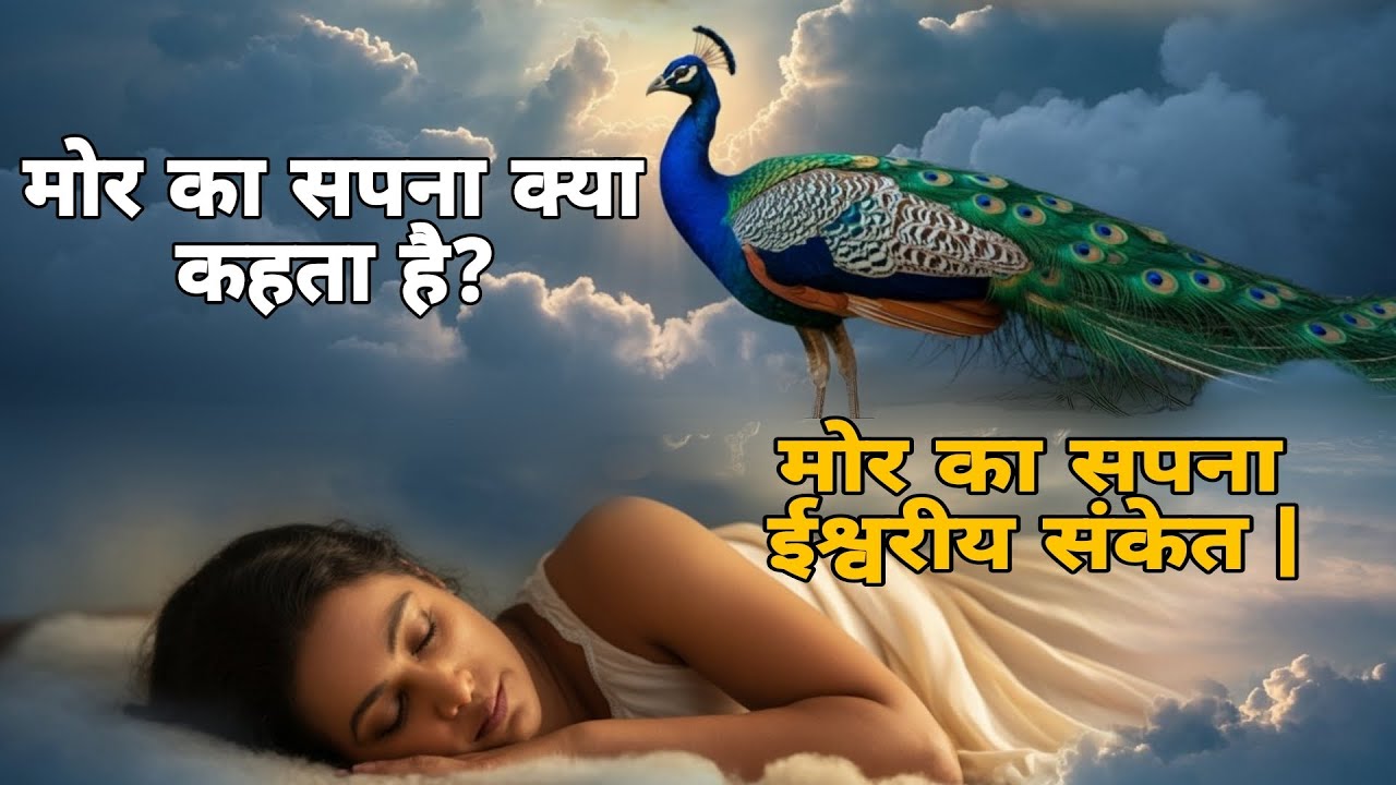 सपने में मोर देखना क्या संकेत देता है? सपने में मोर दिखे तो समझिए भाग्य बदलने वाला है |