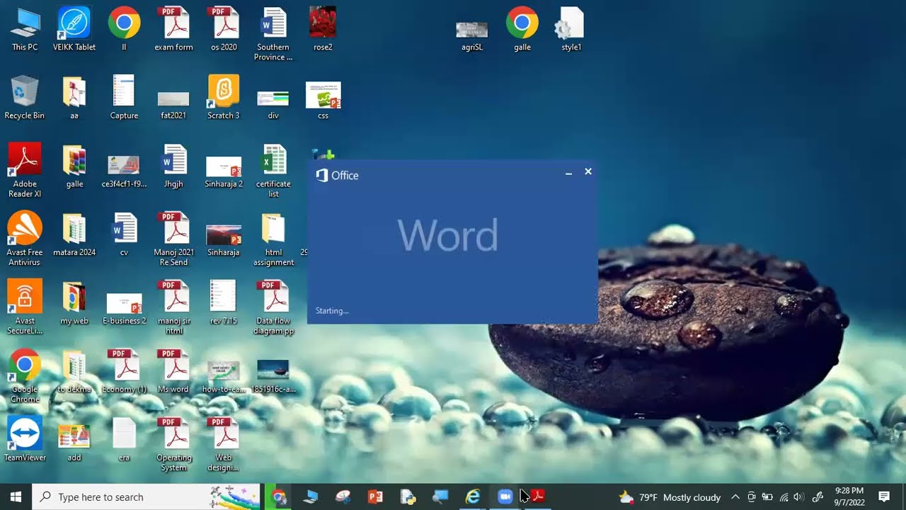 MS word with practicals #git #ict # sinhala