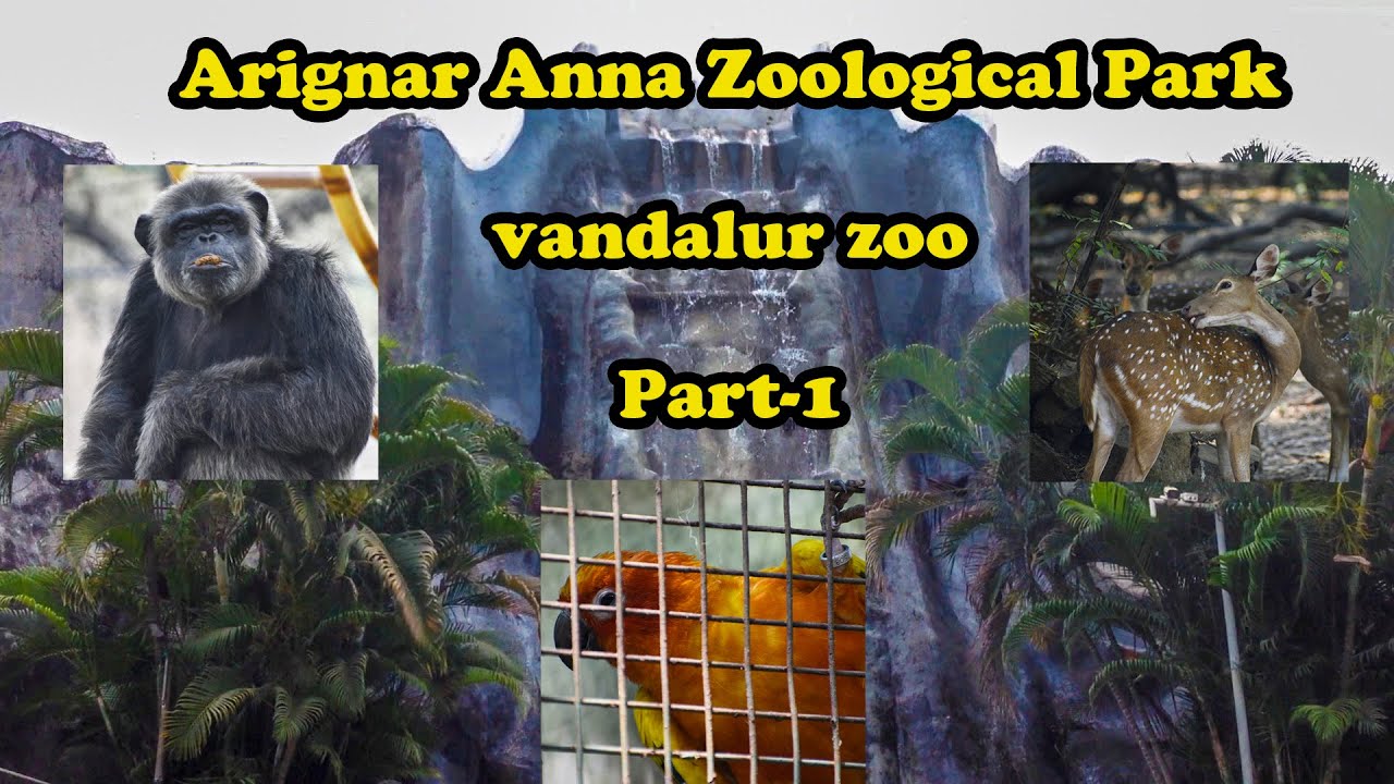 Arignar Anna Zoological Park (vandalur zoo) Part-1